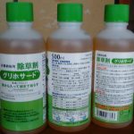 除草剤をいつ撒こうか?雨だと効果が薄れるのでタイミング見計らい中!